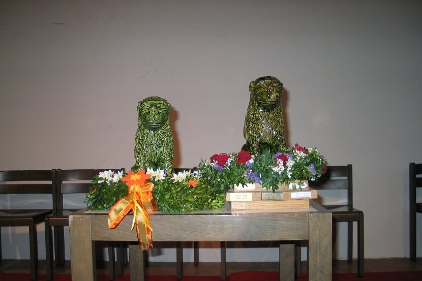 Wasserburger Löwe 2007 026